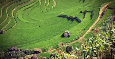 Vietnam-geography-and-climate