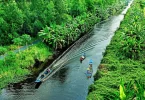 Mekong River Delta