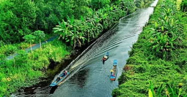 Mekong River Delta