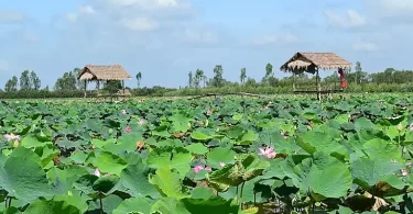 Somethings You Need To Know When Travelling In Vietnam