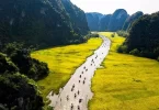 The-beauty-of-ninh-binh-the-land-of-the-ancient-capital