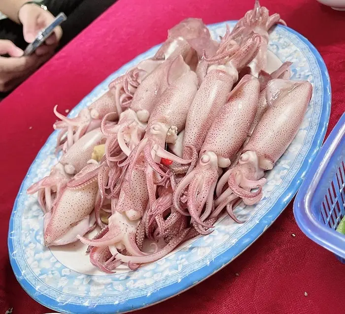 Jumping Squid From Vung Ang